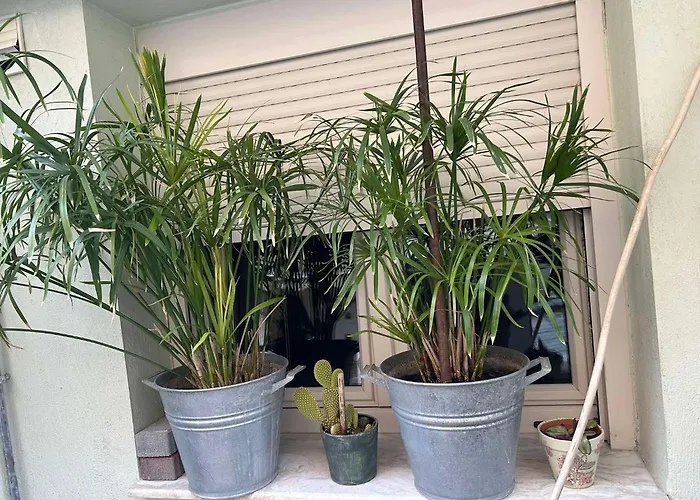 The Makrina Flat