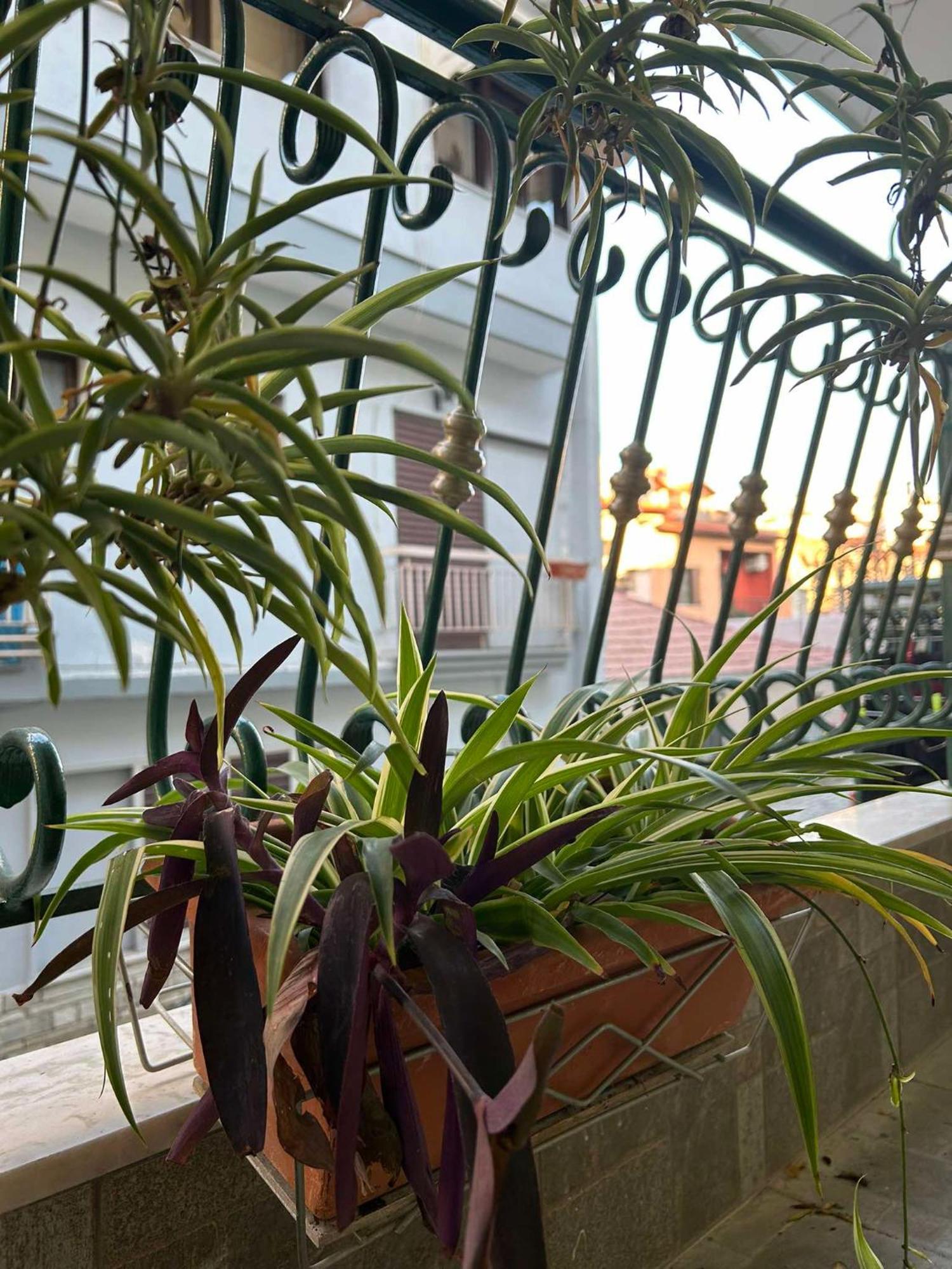 The Makrina Flat Apartmán